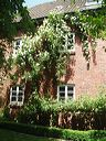 2006_rosen_09