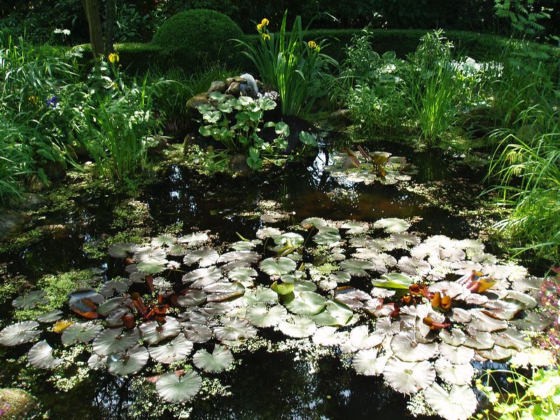 2006_rosen_08.jpg