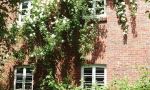 2006_rosen_09