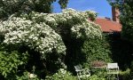 IMG_1111