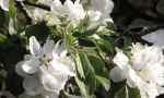 Foto_5
