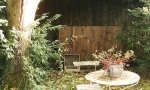 Foto_6