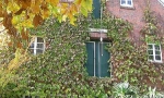 cimg0522