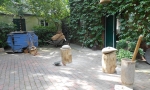 dscn2627